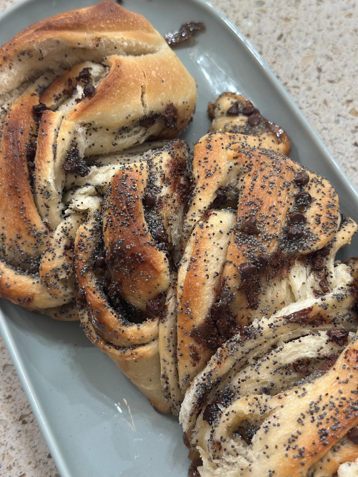 Chocolate Chip & Poppy Seed Sourdough Babka