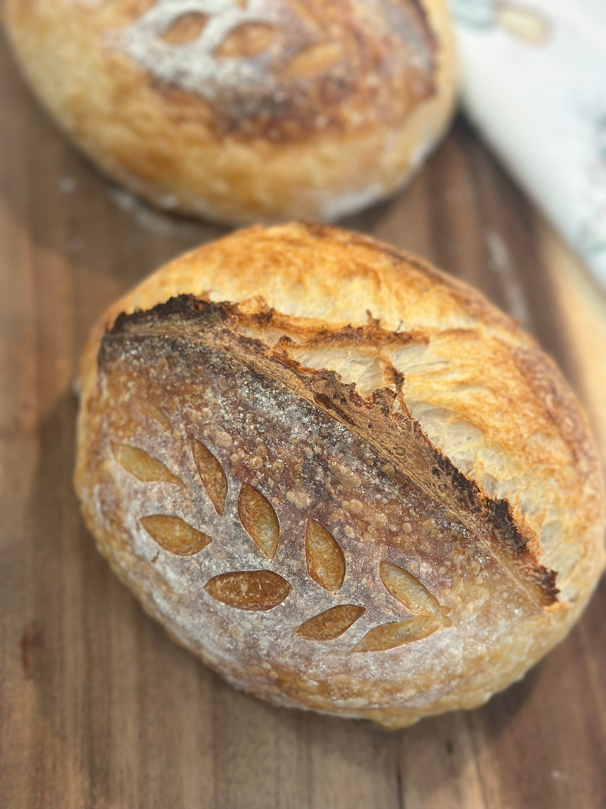 Sourdough loaf close up