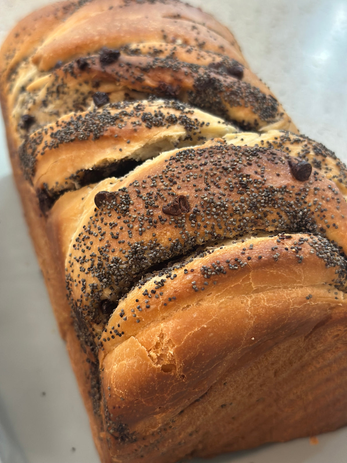 Chocolate Chip & Poppy Seed Sourdough Babka
