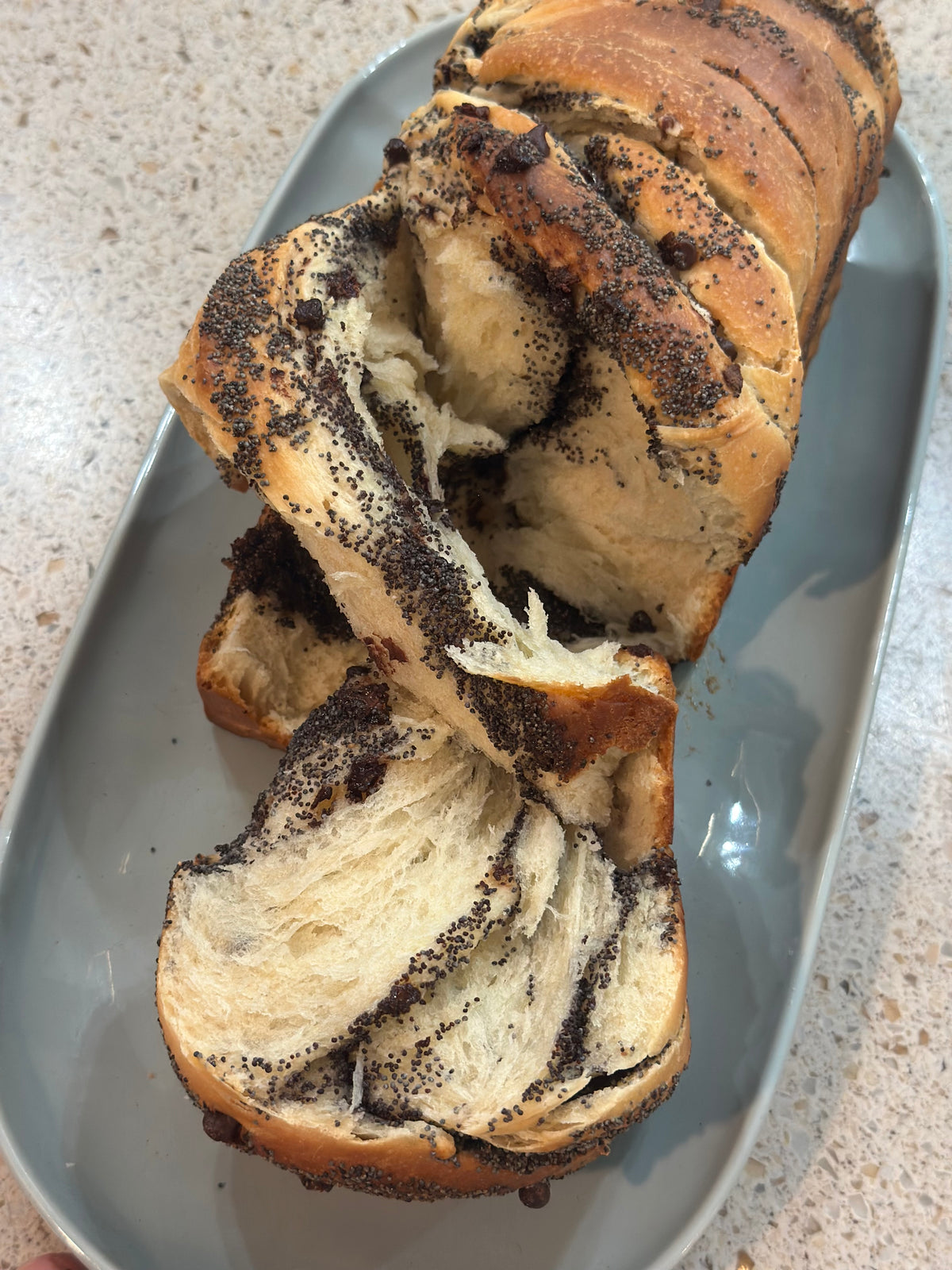 Chocolate Chip & Poppy Seed Sourdough Babka