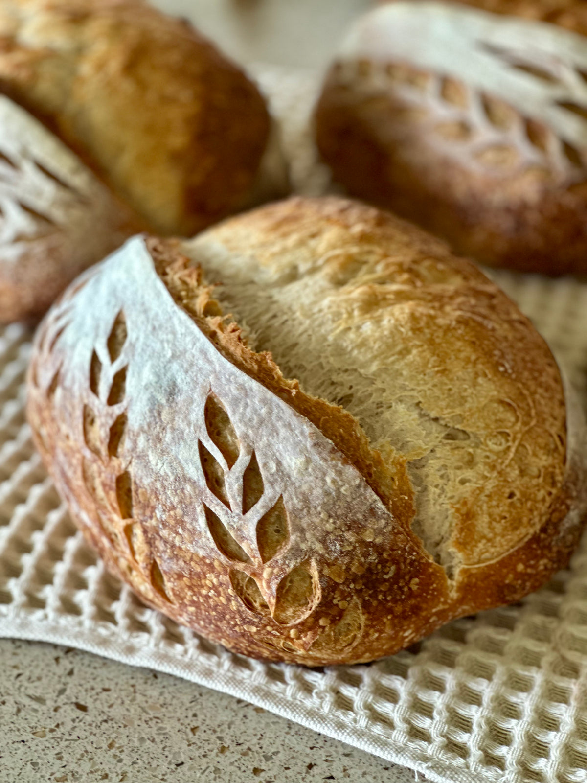 Sourdough loaves ready for sale