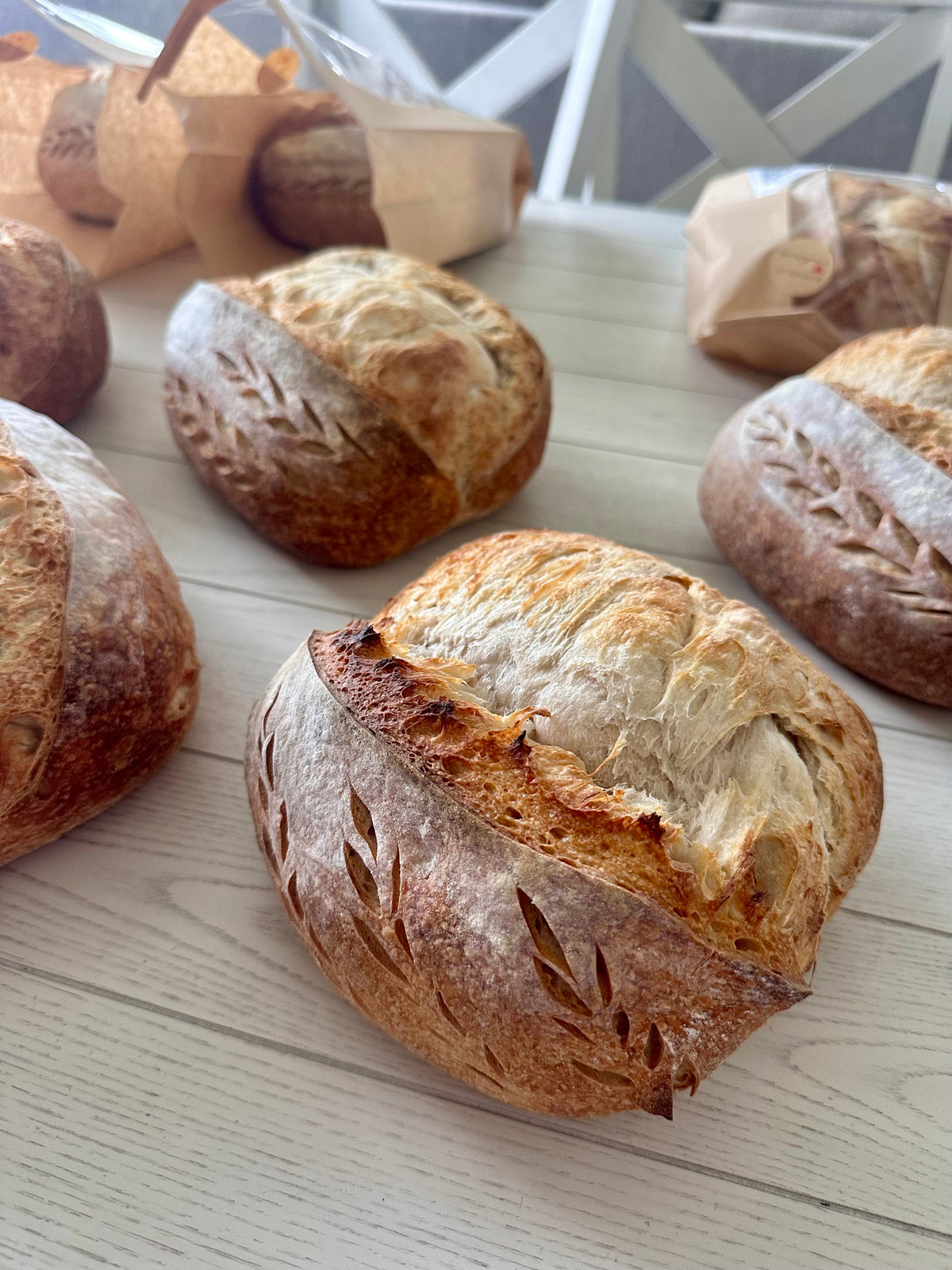 Artisan sourdough loaves with wheat scoring