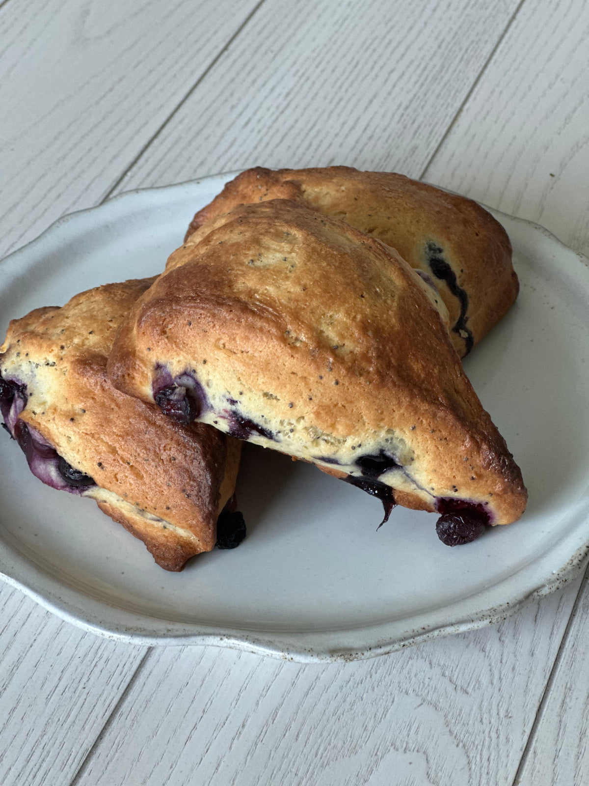 Blueberry, Lemon & Poppy Seed Sourdough Scones
