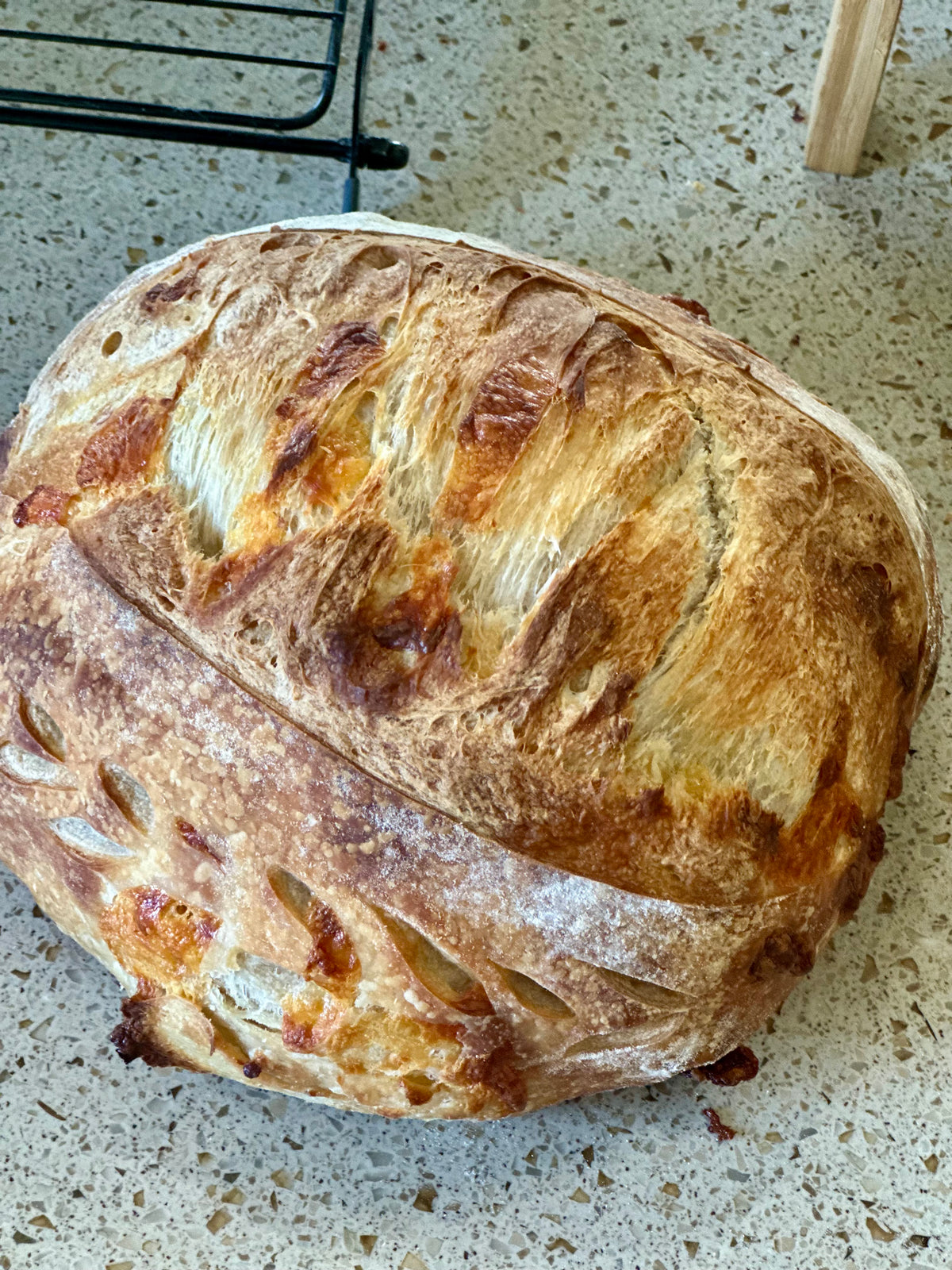 Jalapeño Cheddar Sourdough Bread