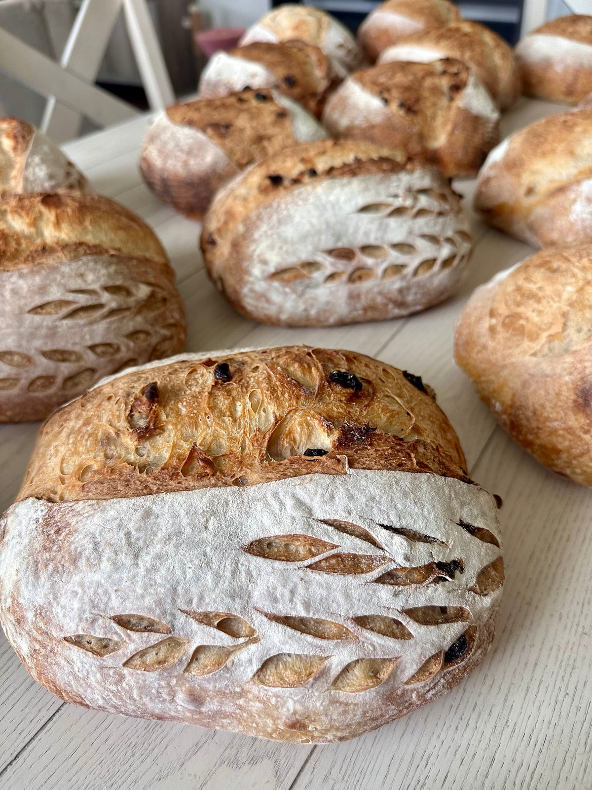 Sun-Dried Tomato, Roasted Garlic & Parmesan Sourdough