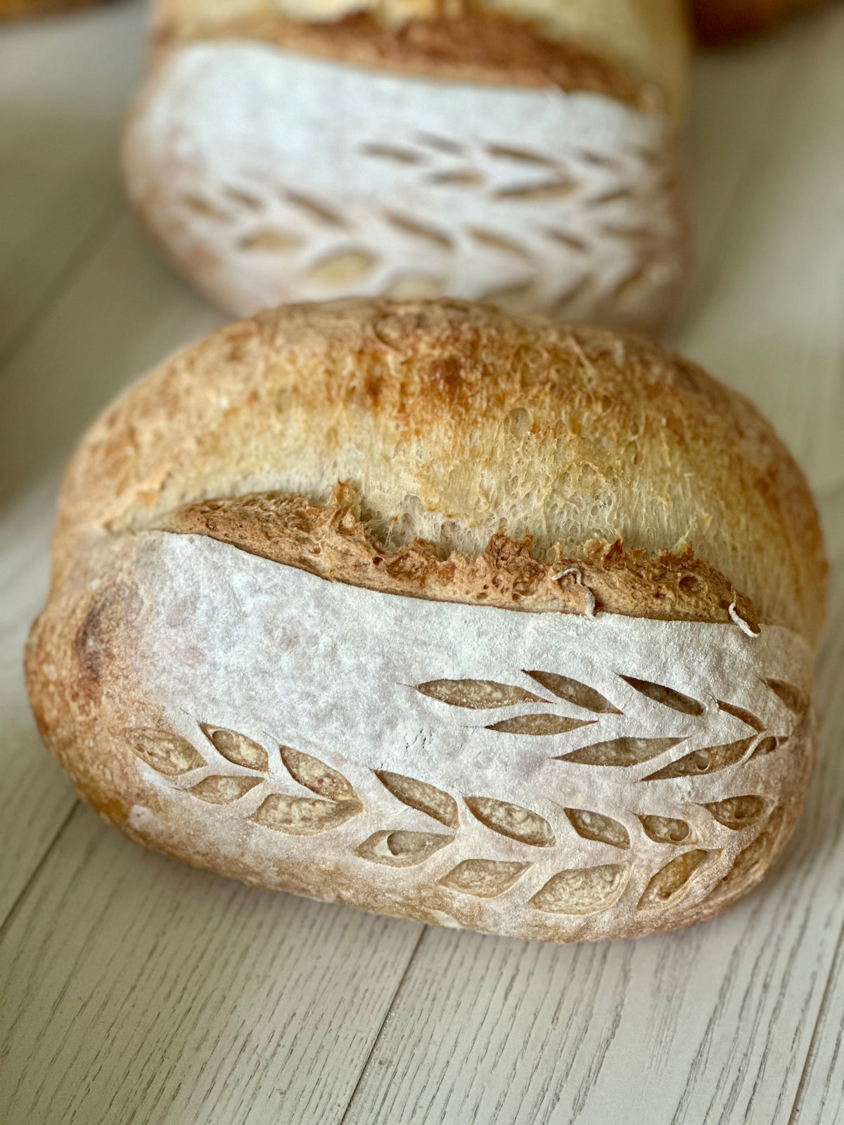 Sourdough loaves collection
