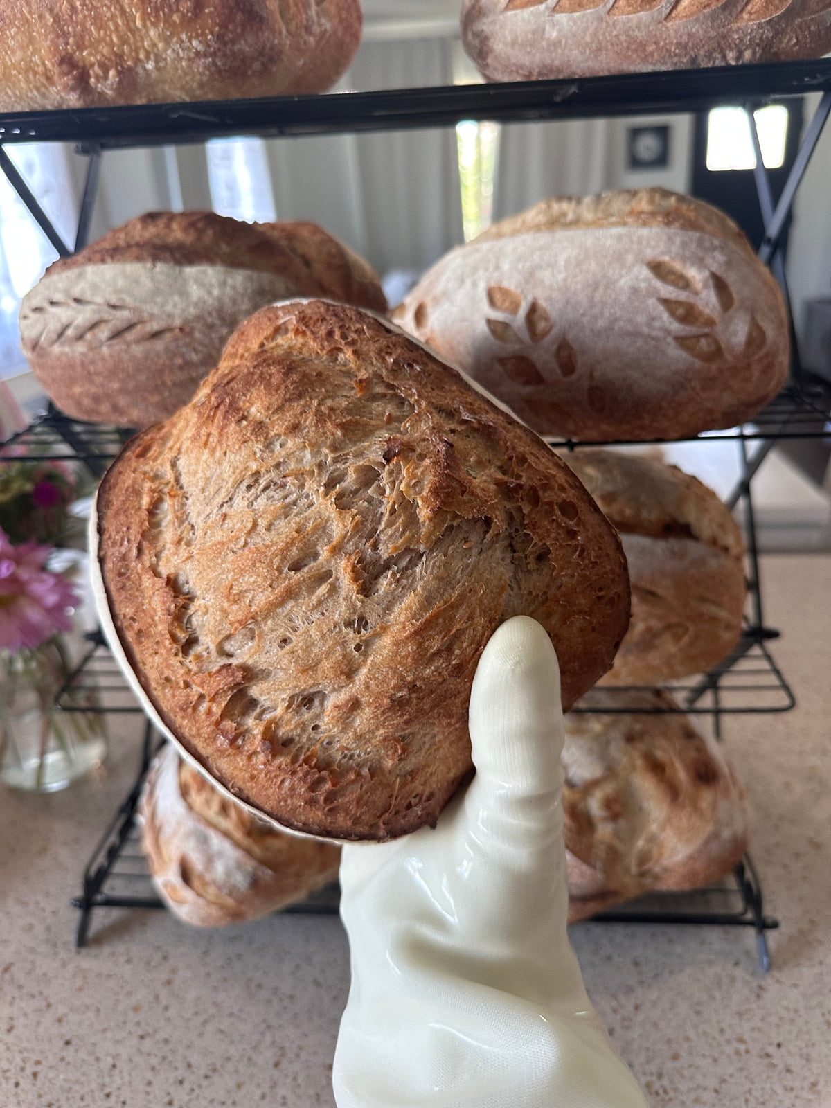 Rye-Wheat Sourdough With Flex & Pumpkin Seeds