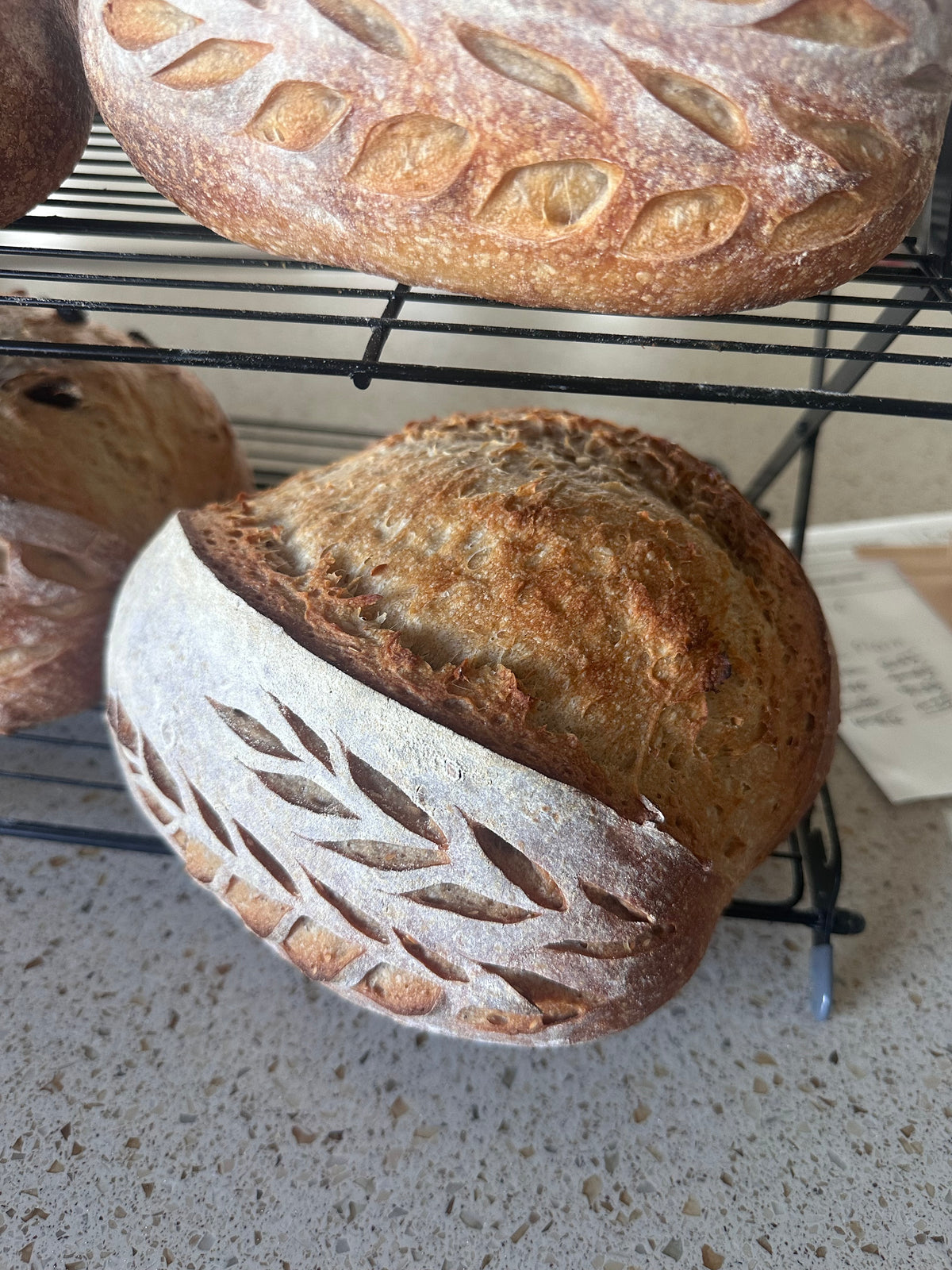 Rye-Wheat Sourdough With Flex & Pumpkin Seeds