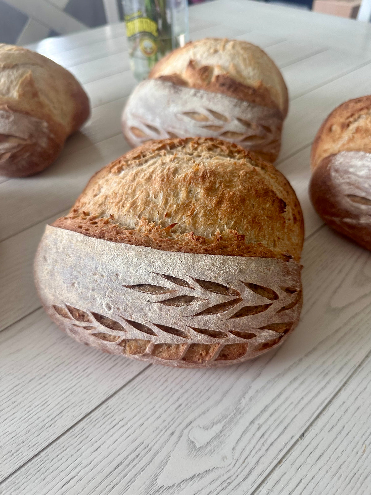 Sourdough loaf on mesh